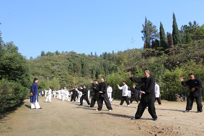 太极人生：我爱太极拳，今生永无悔！