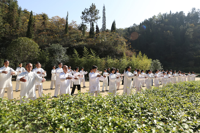 太极人生：我爱太极拳，今生永无悔！