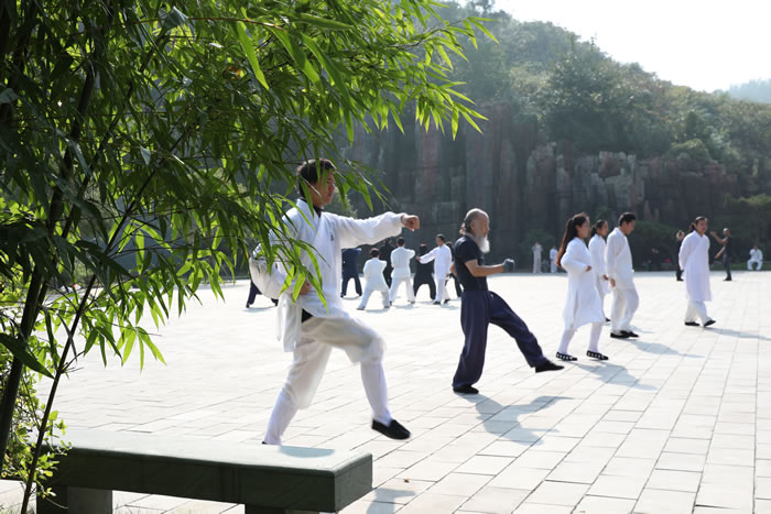 拳论太极:太极拳“力”的七大误解
