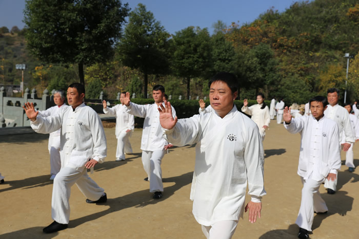 说说太极拳的慢