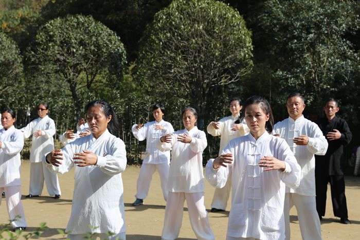 说说太极拳的慢