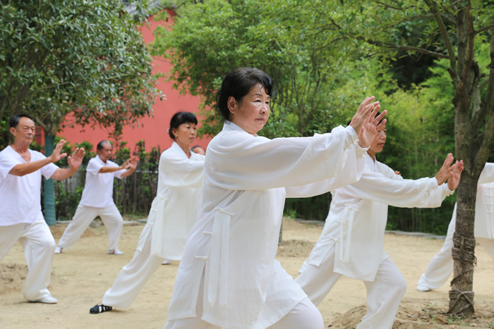 说说太极拳的慢