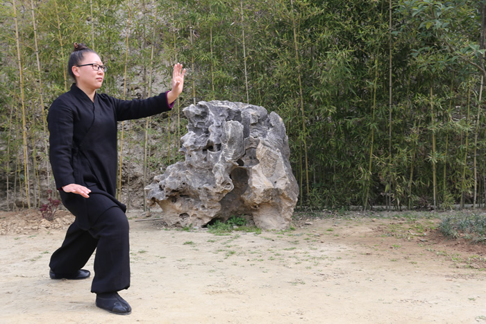 感悟太极里的气与势