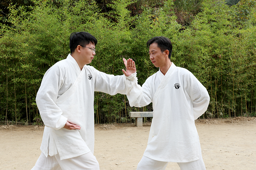 从盲人走路中领悟太极拳整劲？