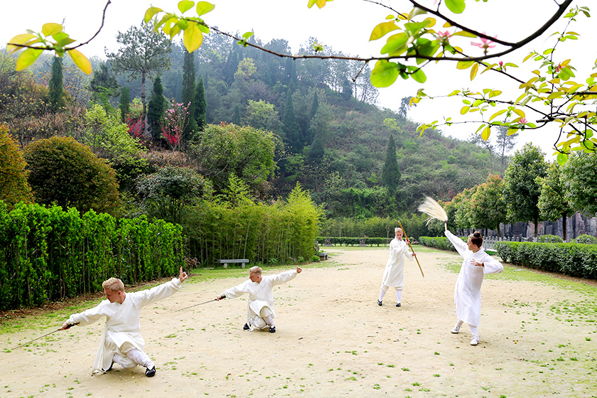 学会太极,其实是学会一种生活