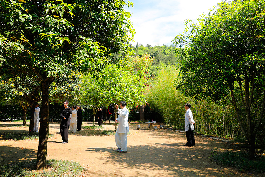 练习武当太极拳需要掌握的六个特点