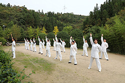 练习简化太极拳真的好吗？