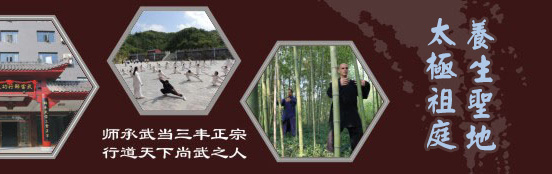 武当太极拳 武当太极拳