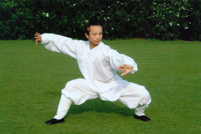 形似游龙,坐如虎踞——武当八卦掌