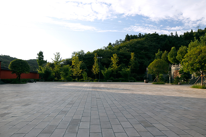 师行武馆的隐仙者：从疾病缠身到仙风道骨，他用了7年！