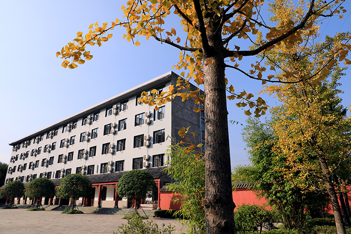 师行武馆的隐仙者：从疾病缠身到仙风道骨，他用了7年！