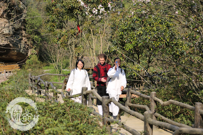 逍遥谷里也有师行武馆学员们的身影