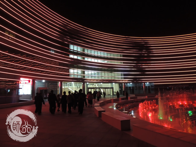 武当师行功夫馆学员观看太极功夫秀