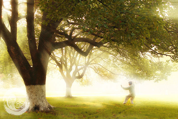 女性练习太极拳常见误区