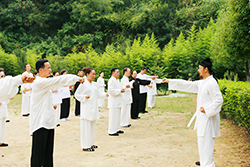 太极拳，也许是提高免疫力最好的运动之一！