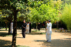 太极拳拳论:练习太极拳需要掌握的六个特点